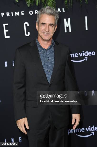Actor Dermot Mulroney attends the premiere of Amazon Studios' "Homecoming" at Regency Bruin Theatre on October 24, 2018 in Los Angeles, California.