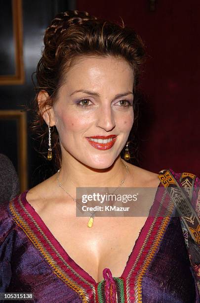 Nicole Ansari during "Troy" New York Premiere - Inside Arrivals at Zeigfeld Theater in New York City, New York, United States.