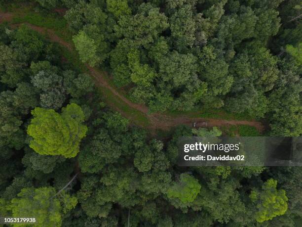aerial photography with a drone, natural forest - park aerial stock pictures, royalty-free photos & images