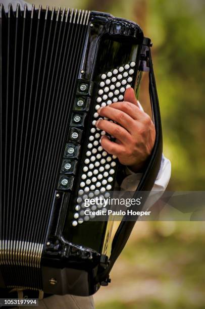 playing accordion - accordionist - fotografias e filmes do acervo