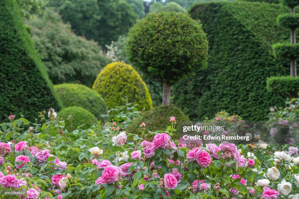 Topiary Gardens
