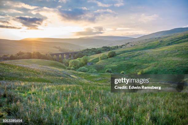 dent head - countryside landscape stock-fotos und bilder