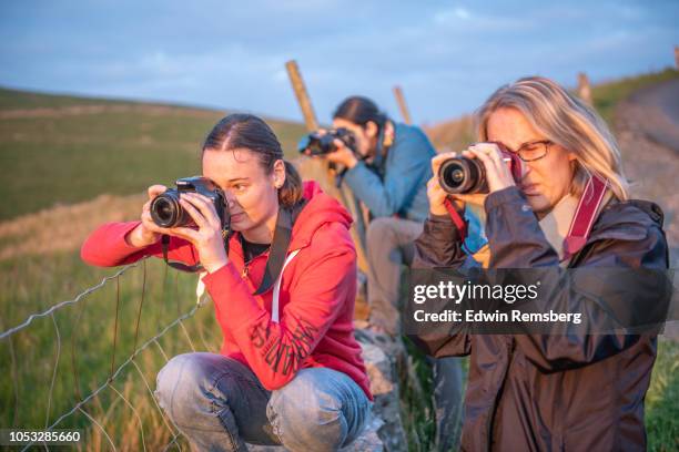 Shutter Bugs Photos and Premium High Res Pictures - Getty Images