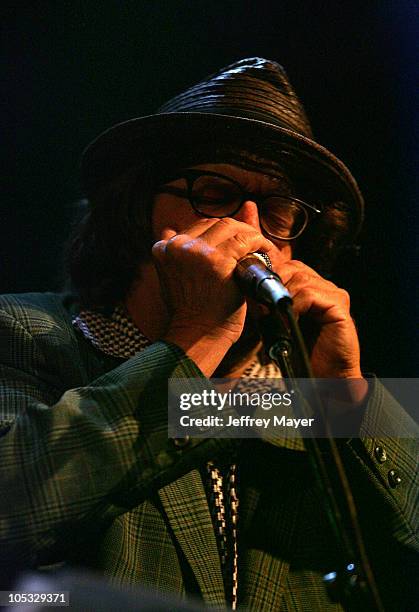 Peter Case during The Crickets and Friends in Concert at the House of Blues at House of Blues in West Hollywood, California, United States.