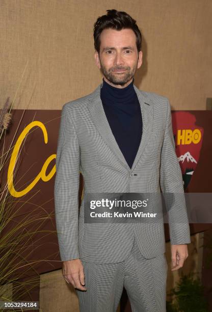 Actor David Tennant attends the Los Angeles premiere of the HBO series "Camping" at Paramount Studios on October 10, 2018 in Hollywood, California.