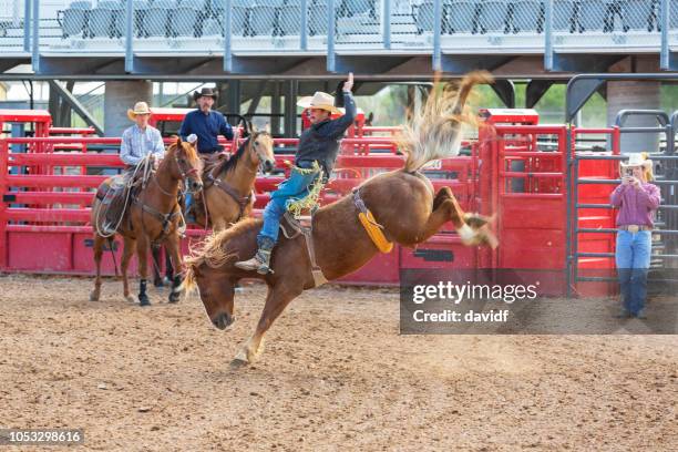 im wettbewerb mit der bucking bronco ereignis bei einem rodeo cowboys - bucking stock-fotos und bilder