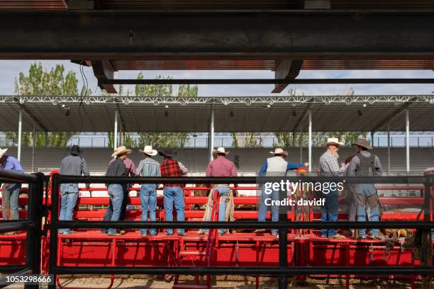 Houston Rodeo Spectators 1,321 Rodeo Spectators Stock Photos, High-Res Pictures, and Images ...