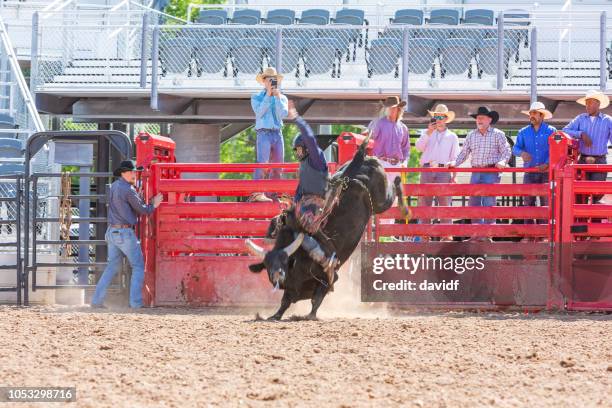 Bull Riding Rodeo Sport Bucking Bull Photos and Premium High Res Pictures - Getty Images