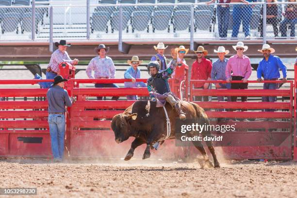 Profession Bull Riding 6,084 Professional Bull Riding Stock Photos, High-Res Pictures, and ...