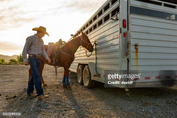 cowboy preparing horses for a rodeo - horse trailer stock pictures, royalty-free photos & images