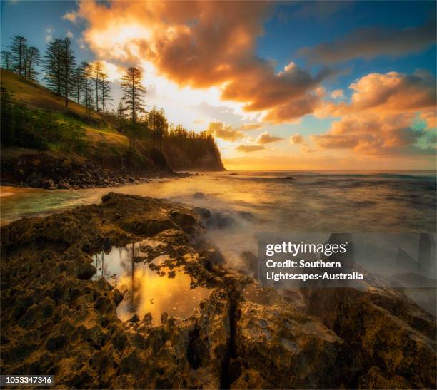 first light of dawn along the coastline at cemetery bay, on norfolk island, south pacific. - norfolk island stock-fotos und bilder
