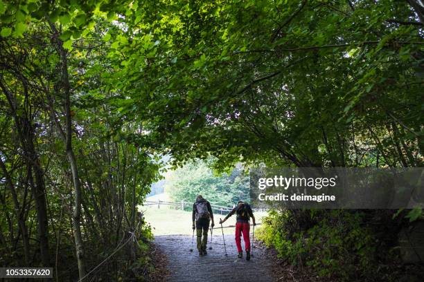 hikers walking on the forest trail - pilgrimage stock pictures, royalty-free photos & images