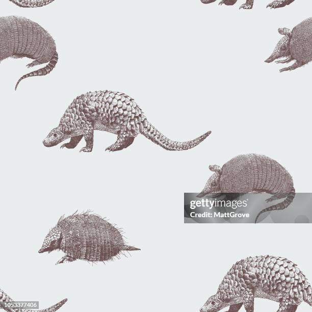 armadillo seamless repeat pattern - armadillo stock illustrations