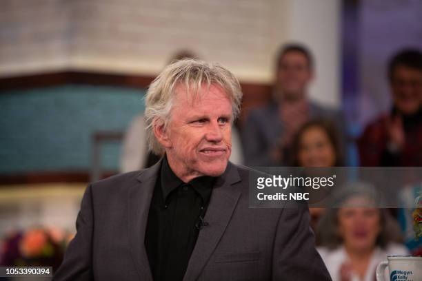 Pictured: Gary Busey on Wednesday, October 24, 2018 --