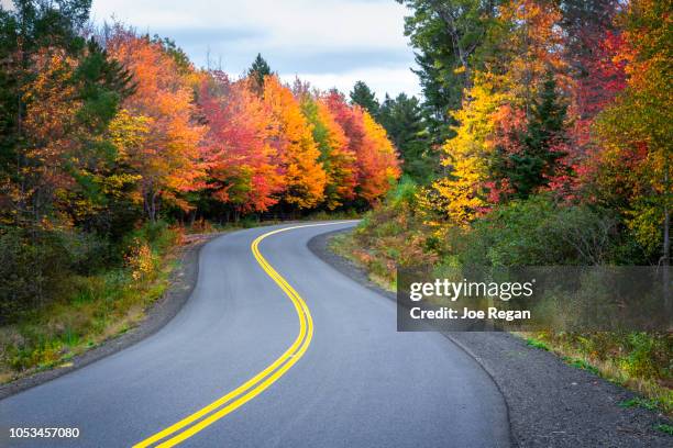 road and autumn colours - hardwood tree stock pictures, royalty-free photos & images