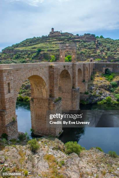 the roman bridge of alcantara - alcantara spain bildbanksfoton och bilder