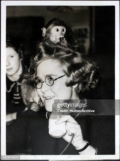 Joey, an 11-month-old baby monkey, perches on a schoolgirls's shoulder as she drinks her daily bottle of milk at North Hammersmith Central School,...