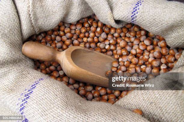 fresh hazelnuts offered for sale - alba imagens e fotografias de stock