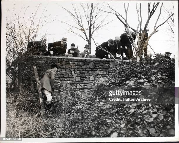 Trying to drive the fox out of a clump by the Cardiff to Newport Road, during a meet of the Tredegar Hunt which started Castleton and ended at...