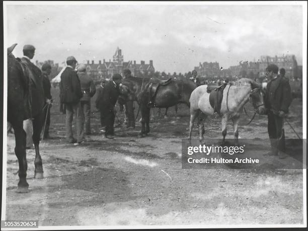 Ponies on Southsea Common, England, 1890s.