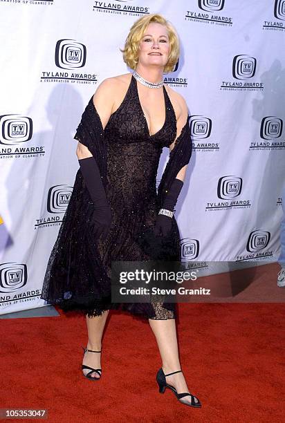 Cybill Shepherd during 2nd Annual TV Land Awards - Arrivals at The Hollywood Palladium in Hollywood, California, United States.