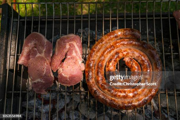 braaing, mazvikadei lake, mashonaland north, zimbabwe - harare stock pictures, royalty-free photos & images