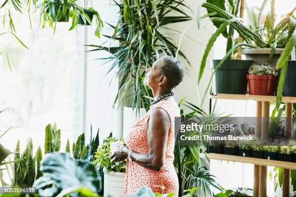 Senior woman admiring plants while shopping in plant store
