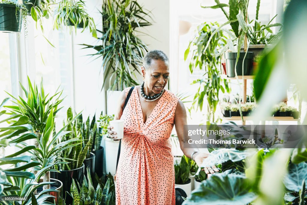Senior woman touching plant leaf while shopping in plant store