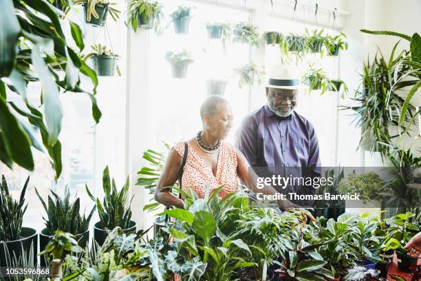 smiling senior couple picking out plants while shopping in plant store - older black people shopping stock pictures, royalty-free photos & images