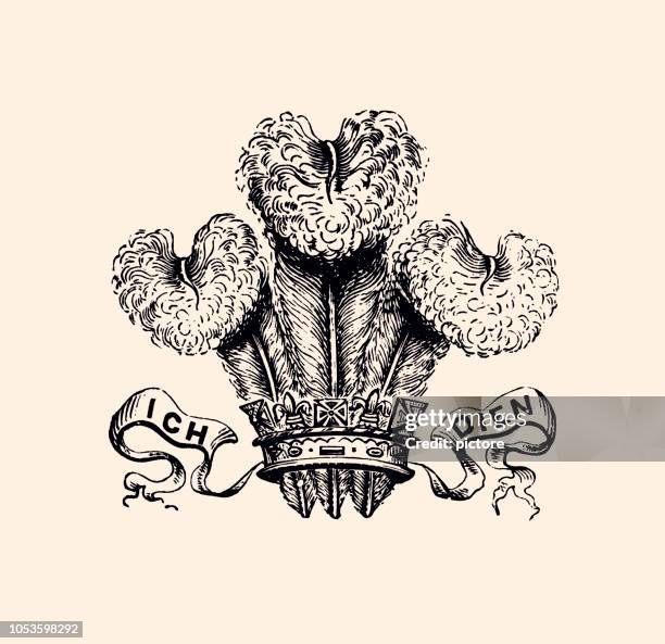 ilustrações, clipart, desenhos animados e ícones de ich dien (xxxl) - pena de avestruz