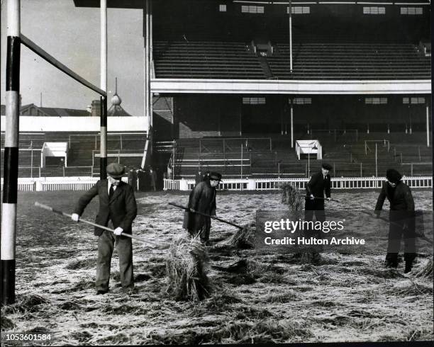 To-morrow 's International Match, Groundsmen are now busy preparing the pitch for to-morrow 's international rugby match between Wales and the All...