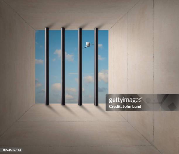 prison bars - trapped bird stock pictures, royalty-free photos & images