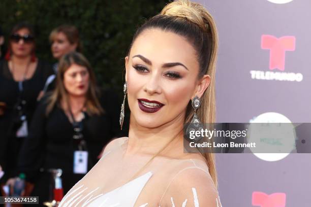 Aracely Arambula attends the 2018 Latin American Music Awards - Arrivals at Dolby Theatre on October 25, 2018 in Hollywood, California.