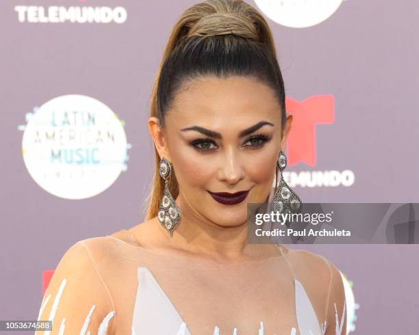 Actress Aracely Arambula attends the 2018 Latin American Music Awards at Dolby Theatre on October 25, 2018 in Hollywood, California.