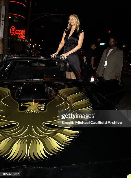 Daryl Hannah during "Kill Bill Vol. 2" World Premiere - Red Carpet at Arclight Cinerama Dome in Hollywood, California, United States.