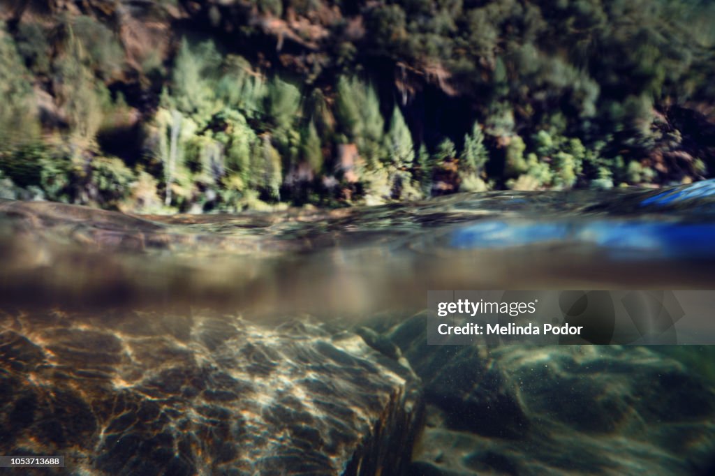 Shallow View Underwater And Above Water View Of A Shallow Lake High-Res Stock Photo ...