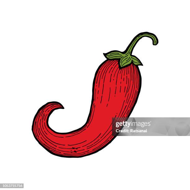 ilustrações, clipart, desenhos animados e ícones de frutos do género capsicum - chilli con carne