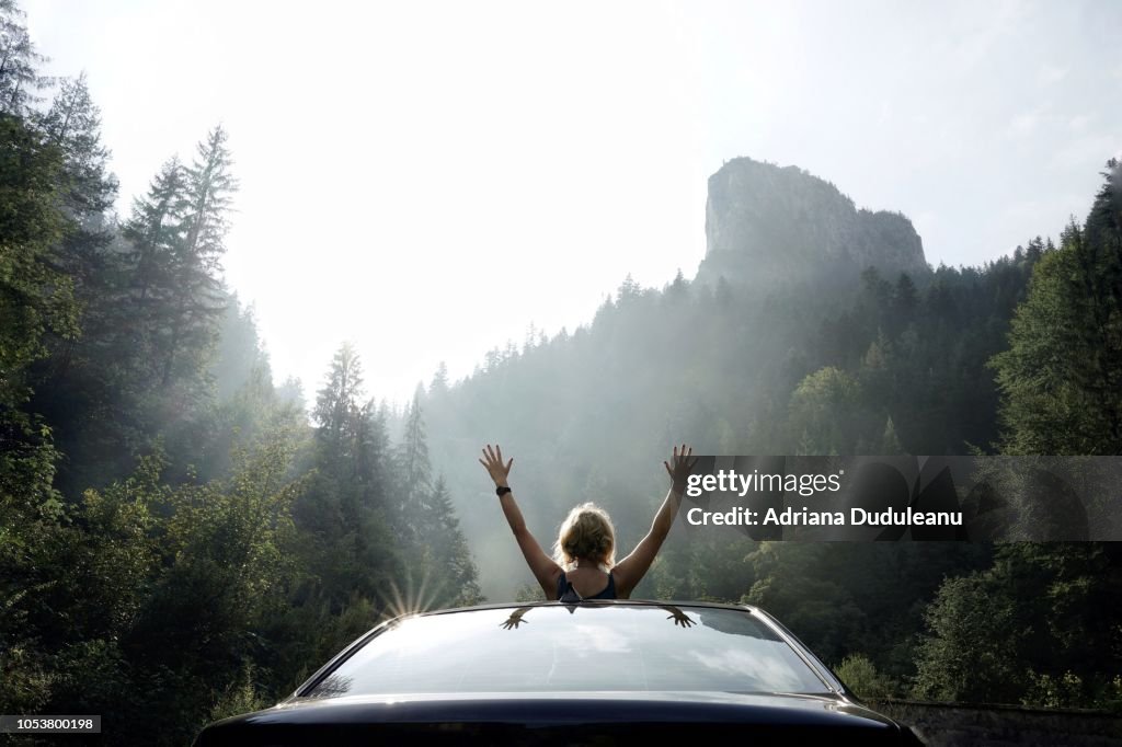 Vue arrière d’une femme avec les bras levés dans une voiture à Forest Against Sky