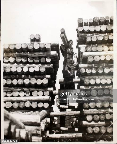 Men at work stacking 1 000 pit props for mines in Preston Dockyard, Lancashire, 10th July 1936. Preston Docks has been chosen as the centre for the...