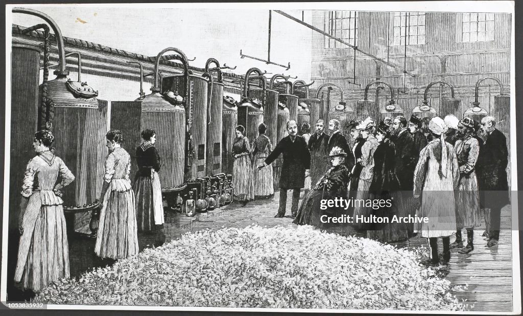 Queen Victoria Visits Grasse