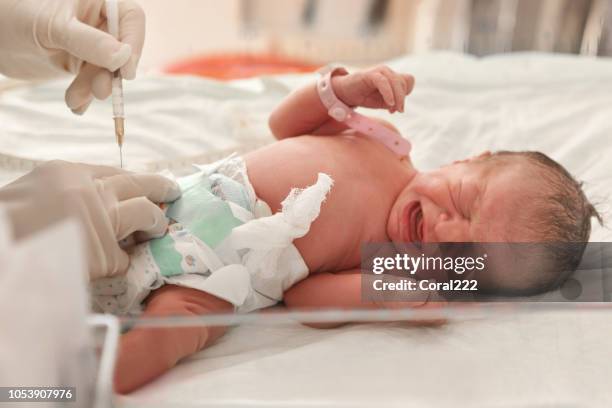 doctor examines a newborn baby - baby vaccination stock pictures, royalty-free photos & images