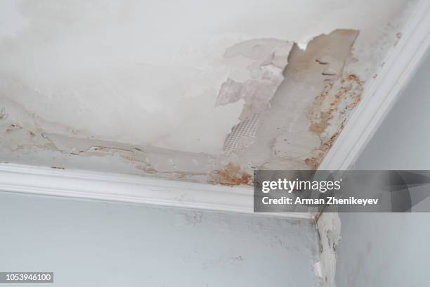 closeup on the water damaged ceiling - wet stock pictures, royalty-free photos & images