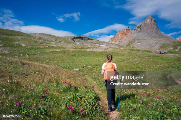 female hiker walks through a meadow on the 8.1 mile rt hike to ice lake in the upper basin on a summer day when wildflowers are blooming, san juan national forest, silverton, colorado, usa - colorado hiking stock pictures, royalty-free photos & images