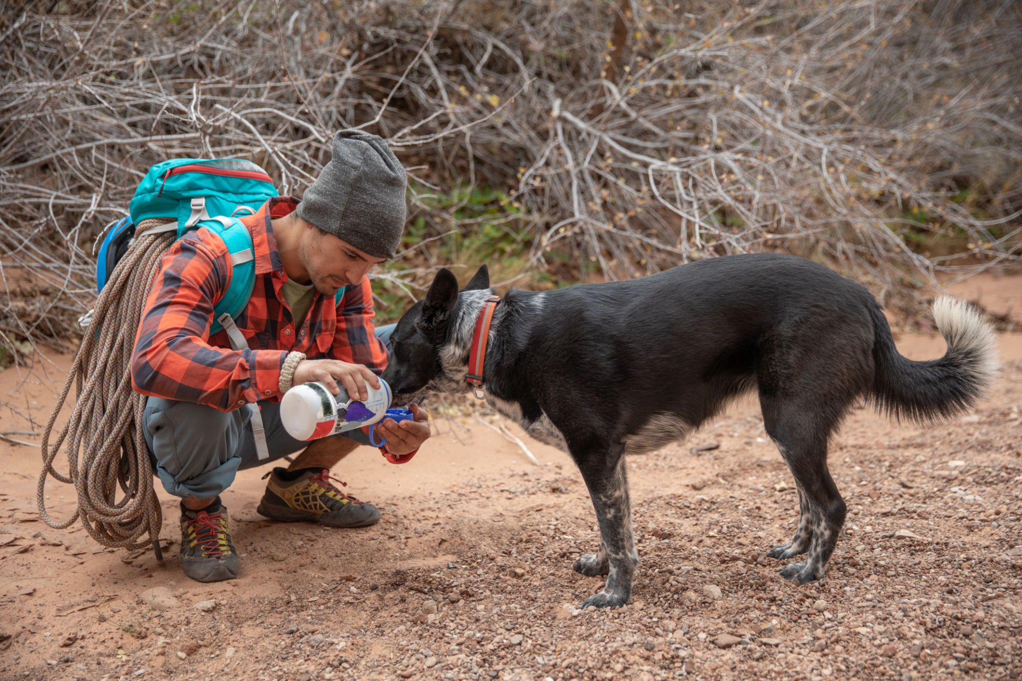 dog water bottle
