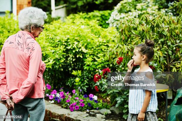 young girl in discussion with great grandmother in backyard garden during party - flowers placed on the hollywood walk of fame star of jay thomas stockfoto's en -beelden