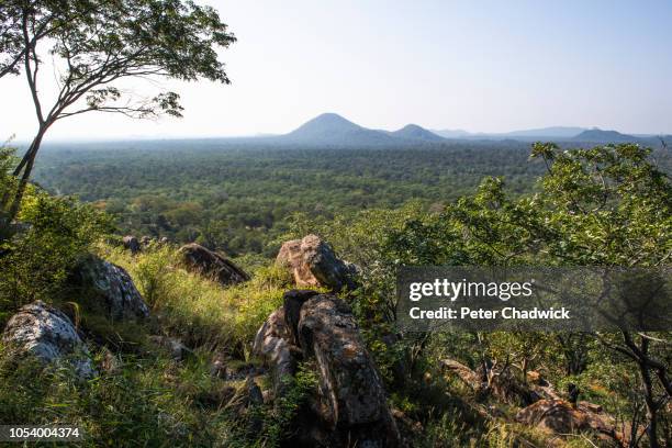 autumn bushveld, save valley conservancy, zimbabwe - zimbabwe stock-fotos und bilder