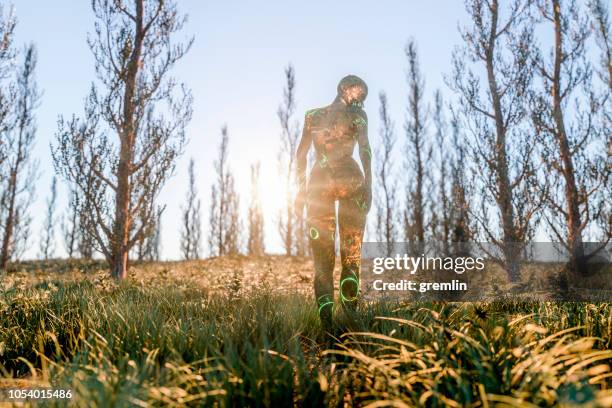 gaea walking in the meadow at sunset - landscape tattoo stock pictures, royalty-free photos & images