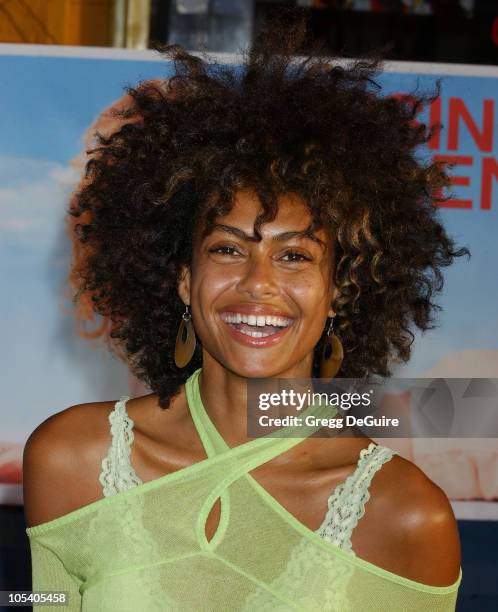 Shakara Ledard during "Raising Helen" Los Angeles Premiere - Arrivals at El Capitan Theatre in Hollywood, California, United States.