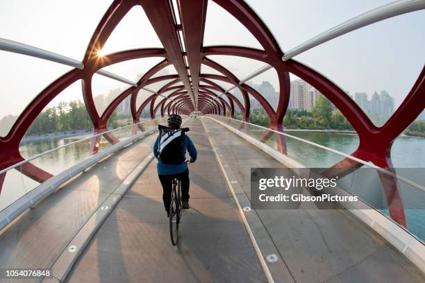 シティ自転車メッセンジャー - calgary ストックフォトと画像