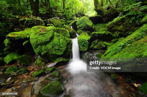vd700 moss gegok - spring flowing water stock pictures, royalty-free photos & images